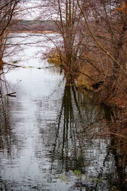 A body of water with trees in the background. The water is calm and still. The trees are bare and the water is murky