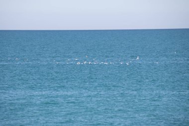 Blue sea and blue sky with white clouds. Seascape.