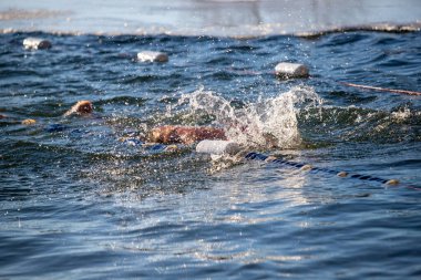 Bir adam bir köpekle okyanusta yüzüyor. Su mavi ve gökyüzü berrak.