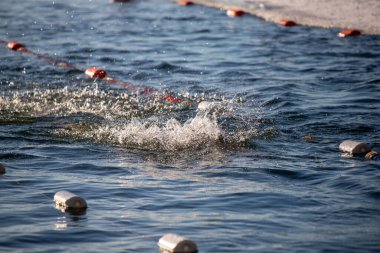 Su sıçrıyor ve su koyu mavi renkte. Suyun sıçraması suda dalgalanmalar yaratıyor ve sahnenin genel havası heyecan ve enerjiden oluşuyor.