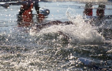Bir adam su sıçratarak suda yüzüyor. Su dalgalı ve adam her yere su sıçrıyor.