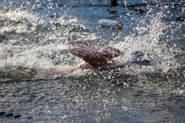 Bir insan sırtı kameraya dönük olarak okyanusta yüzüyor. Su sıçrıyor ve insan büyük bir sıçrama yapıyor.