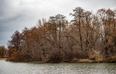Ağaçları ve su kütlesi olan bir orman. Ağaçlar çıplak ve gökyüzü bulutlu.