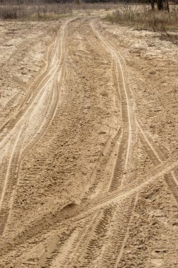 A dirt road with tire tracks in the sand. The road is empty and the tracks are deep