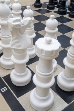 Siyah beyaz kareli beyaz bir satranç seti. Parçaların hepsi beyaz ve tahta siyah beyaz.
