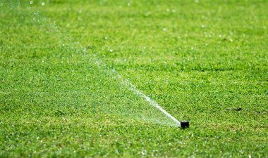 Blurred background, Irrigation system, watering of green grass