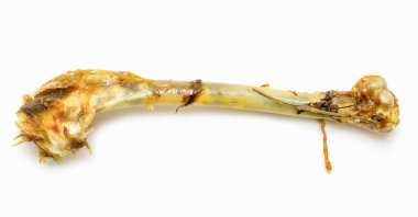 Beyaz arka planda bir kemik gösterilir. Kemik eski ve üzerinde bir sürü kir ve pislik var.