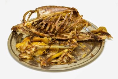 A plate of meat with bones and a few pieces of orange on it. The plate is dirty and the meat is cooked