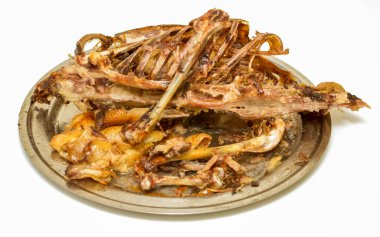 A plate of chicken bones and meat is on a white background. The bones are scattered all over the plate, and the meat is partially eaten. The plate is dirty and has a rustic, homey feel to it