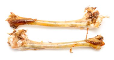 Beyaz arka planda iki tavuk kemiği var. Kemikler bir sürü yağla kaplı ve üzerinde bir sürü et var.