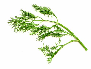 Uzun saplı yeşil bir bitki. Sapı ince ve yaprakları uzun ve ince.