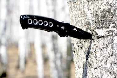 A knife is hanging from a tree branch. The knife is black and has a handle