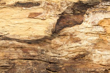 Görüntü, pürüzlü ve yıpranmış bir ahşap parçası. Ahşap eski görünüyor ve uzun zamandır elementlere maruz kalmış. Tahtanın dokusu dengesiz.