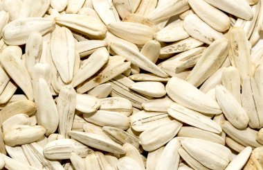 Beyaz ayçiçeği tohumlarına yakın çekim. Tohumlar görüntünün her tarafına dağılmış, bazıları birbiriyle örtüşüyor. Mevcut pek çok farklı tohum türü olduğu için, bolluk ve çeşitlilik kavramı