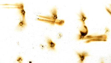A series of bullet holes are scattered across a white background. The holes are of varying sizes and are located in different areas of the image. Scene is one of destruction and chaos