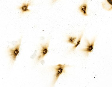 A series of bullet holes are scattered across a white background. The holes are of varying sizes and are located in different areas of the image. Scene is one of destruction and chaos