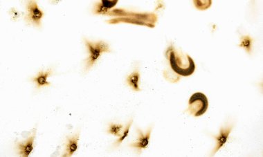 Görüntü, beyaz bir arkaplan ve etrafa saçılmış küçük siyah noktalar. Noktalar bir kaos ve kargaşa hissi yaratacak şekilde düzenlenmiş. Sahne kafa karıştırıcıdır.