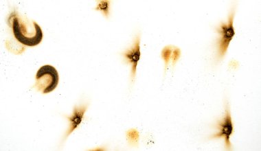 Beyaz arka planda bir dizi yanmış delik. Delikler görüntü boyunca dağılmış, bazıları tepeye yakın, bazıları da alta yakın.