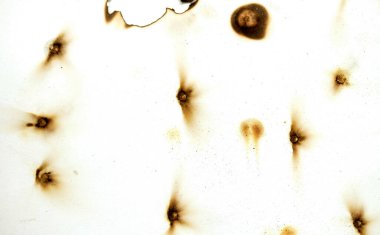 The image is a close up of a white background with a lot of black dots. The dots are all different sizes and are scattered throughout the image. Scene is chaotic and disorganized