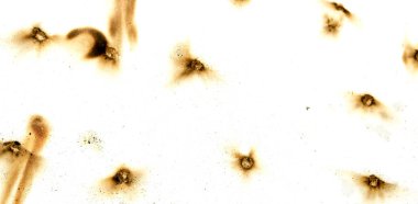 A close up of a burnt out area with many holes. The holes are scattered all over the area and appear to be the result of a fire. The burnt out area has a sense of destruction and chaos