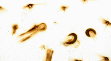 The image is a close up of a burnt piece of paper with a lot of holes in it. The holes are scattered all over the paper, and the burnt edges give the paper a worn and weathered appearance