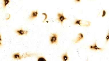 The image is a close up of a white background with a lot of black dots. The dots are scattered all over the background, creating a sense of chaos and disorder. Scene is one of confusion and disarray