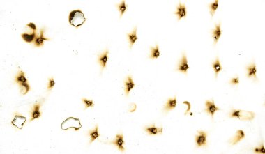 The image is a close up of a white background with a lot of small black dots. The dots are scattered all over the background, creating a sense of chaos and disorder. Scene is one of confusion