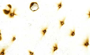 A white background with a lot of small holes in it. The holes are scattered all over the background, and they appear to be burnt or charred. Scene is one of destruction or damage