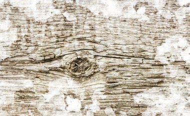 A wooden surface with a hole in it. The surface is old and has a worn appearance. The hole in the wood is large and has a rough texture. Scene is one of decay and abandonment