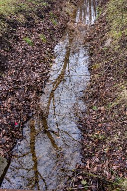 A stream of water runs through a wooded area. The water is murky and the leaves on the ground are brown