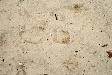 A sandy beach with a footprint in the sand. The footprint is small and he is from a person. The beach is littered with debris, including a few sticks and a bottle. Scene is somewhat bleak