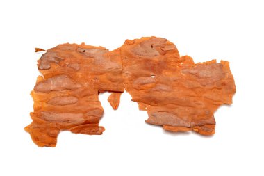 pieces of tree bark on a white background isolated