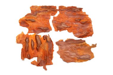 pieces of tree bark on a white background isolated