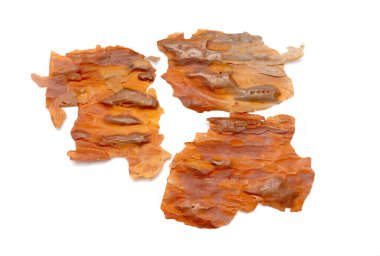 pieces of tree bark on a white background isolated