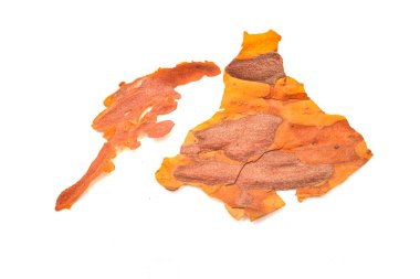 pieces of tree bark on a white background isolated