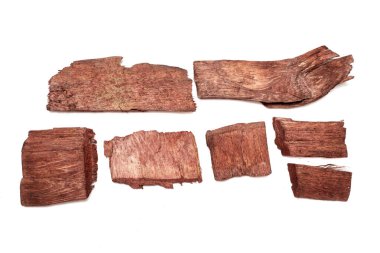 pieces of tree bark on a white background isolated