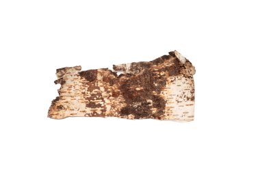 pieces of tree bark on a white background isolated