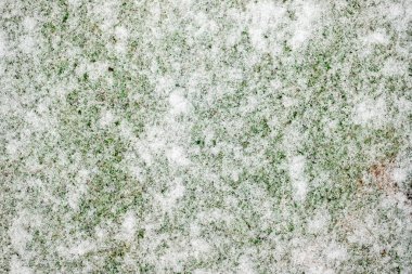 A snowy field with a green background. The snow is covering the grass and the ground. The image has a peaceful and serene mood