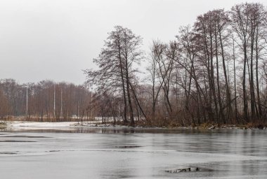 Arka planda ağaçlar olan bir göl. Ağaçlar çıplak ve gökyüzü bulutlu.