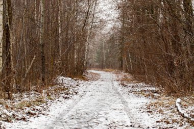 A path through a forest with snow on the ground. The path is covered in leaves and snow, and the trees are bare. Scene is peaceful and serene, as the snow and leaves create a quiet and calm atmosphere
