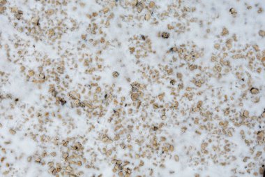 Bir sürü kaya ve çakıl taşı olan karlı bir tarla. Kar beyaz ve kayalar kahverengi.