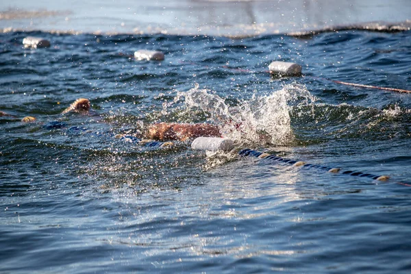 Bir adam bir köpekle okyanusta yüzüyor. Su mavi ve gökyüzü berrak.
