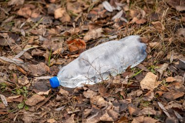 Plastik bir şişe yaprak tarlasında yerde yatıyor. Şişe boş ve mavi bir kapağı var. Olay yeri ıssız ve terk edilmiş. Tek görünür nesne şişe.