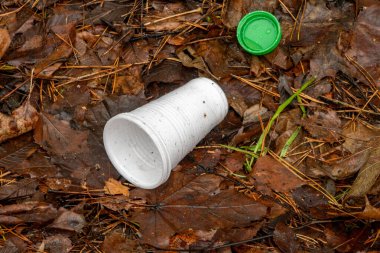 Yerde bazı yaprakların yanında beyaz bir köpük kabı var. Bardak boş ve yeşil bir kapağı var. Sahne dağınık ve dağınık, bardak ve yapraklar etrafa saçılmış.