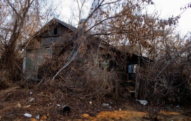 Dallarla ve molozlarla kaplı bir ev. Ev eski ve terk edilmiş.