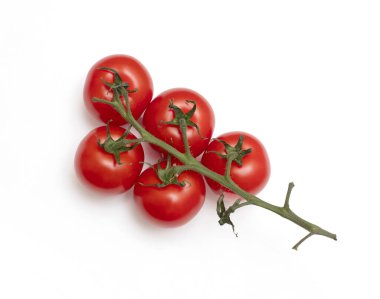 A close up of a tomato plant with five ripe red tomatoes on a stem. Concept of freshness and abundance, as the ripe tomatoes are ready to be picked and enjoyed