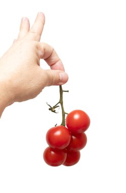 Domatesi sapıyla tutan bir el. El açıktır ve domates elin ortasındadır.