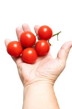 Bir avuç kırmızı domatesi tutan bir el. El domatesleri birbirine dokunmayacak şekilde tutuyor.