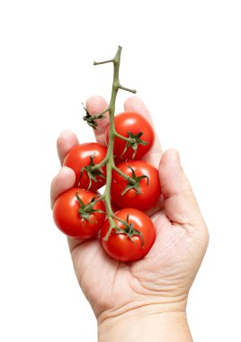 Bir avuç kırmızı domatesi tutan bir el. Domatesler piramit şeklinde dizilmiş, gövdesi yukarıya bakıyor. Tazelik ve bolluk kavramı