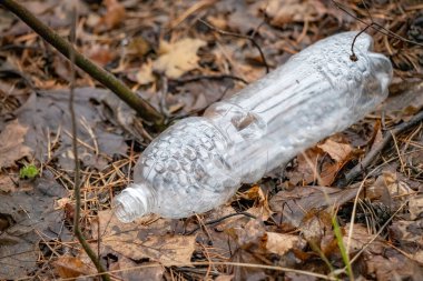 A plastic bottle is laying on the ground in a forest. The bottle is empty and has a label on it. Concept of waste and environmental impact, as the plastic bottle is discarded in a natural setting